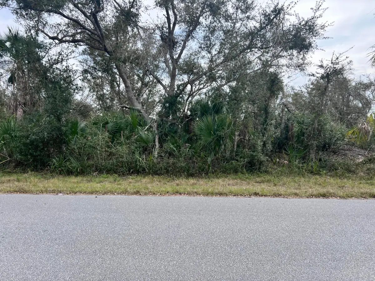 14447 Black Avenue, Port Charlotte, FL 33953 - #1