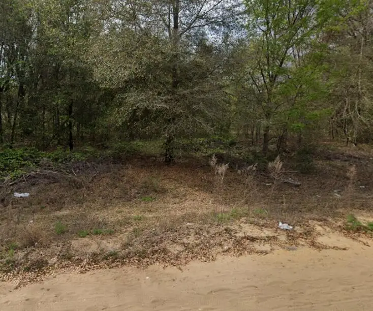 00 N Helmers Avenue, Interlachen, FL 32148 - #2