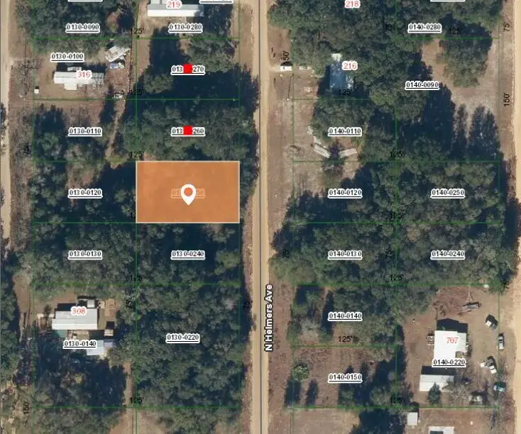 00 N Helmers Avenue, Interlachen, FL 32148 - #3