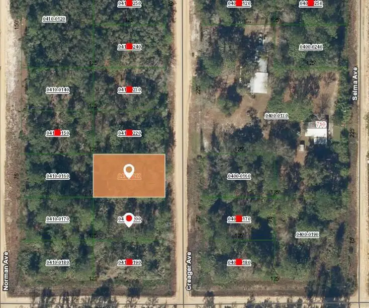 002 Creager Avenue, Interlachen, FL 32148 - #2