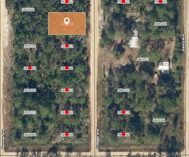005 Creager Avenue, Interlachen, FL 32148 - #2