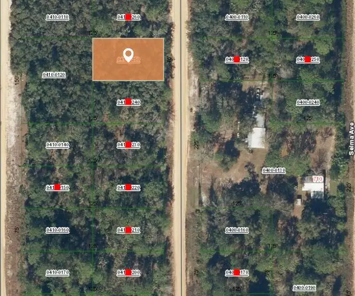006 Creager Avenue, Interlachen, FL 32148 - #2