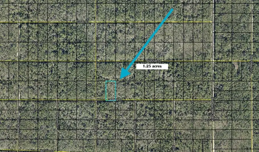 Tbd James, Hastings, FL 32145 - #2