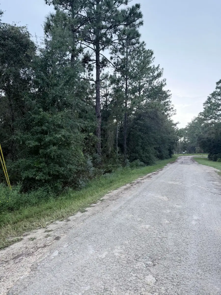 0 No Situs, Dunnellon, FL 34432 - #2