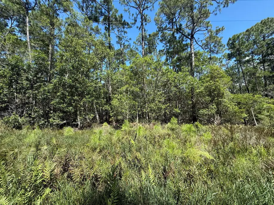 210 SE 2nd Street, Georgetown, FL 32139 - #2