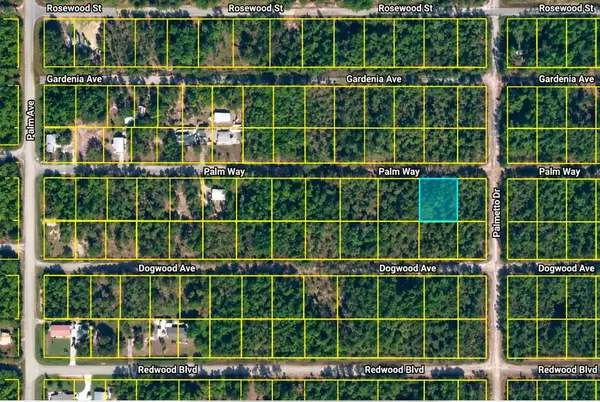 337 Palm Way, Georgetown, FL 32139