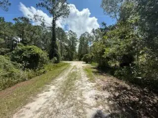 337 Palm Way, Georgetown, FL 32139 - #3