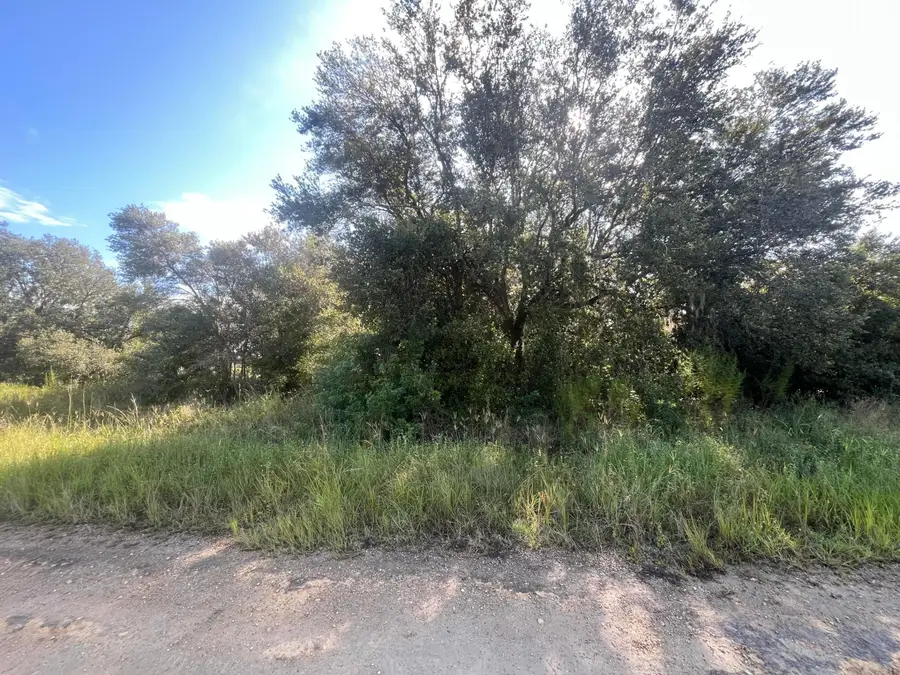 1702 Mcarthur Avenue, Lehigh Acres, FL 33972 - #3