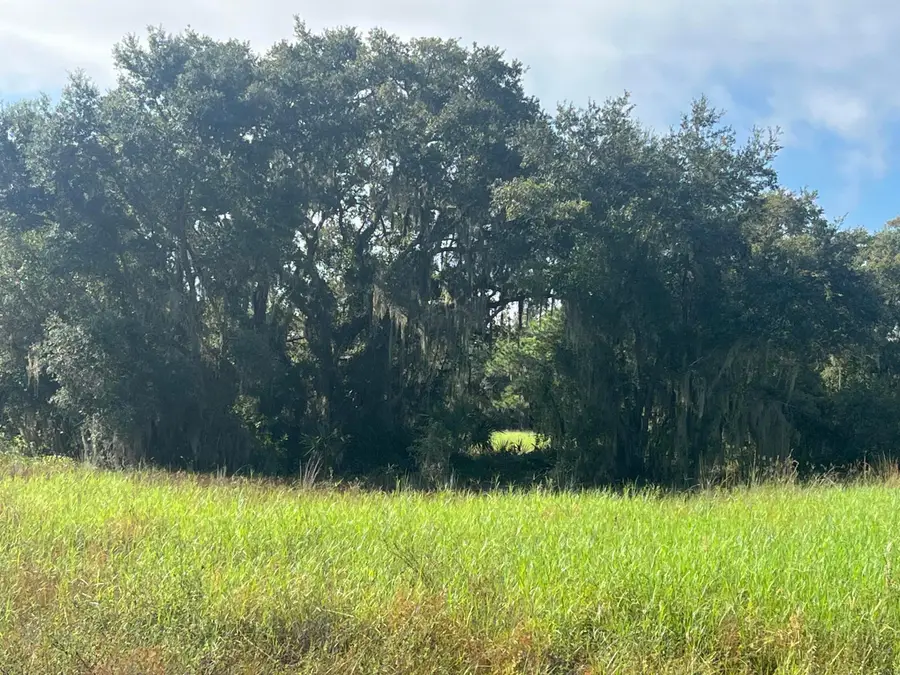 1712 Mcarthur Avenue, Lehigh Acres, FL 33972 - #3