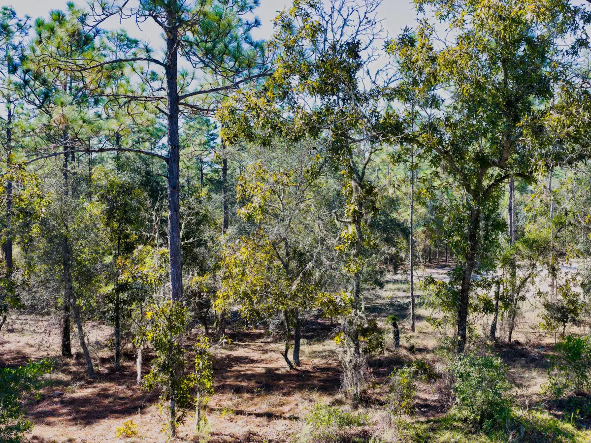 0 Sw Edgewater Blvd, Dunnellon, FL 34431 - #1