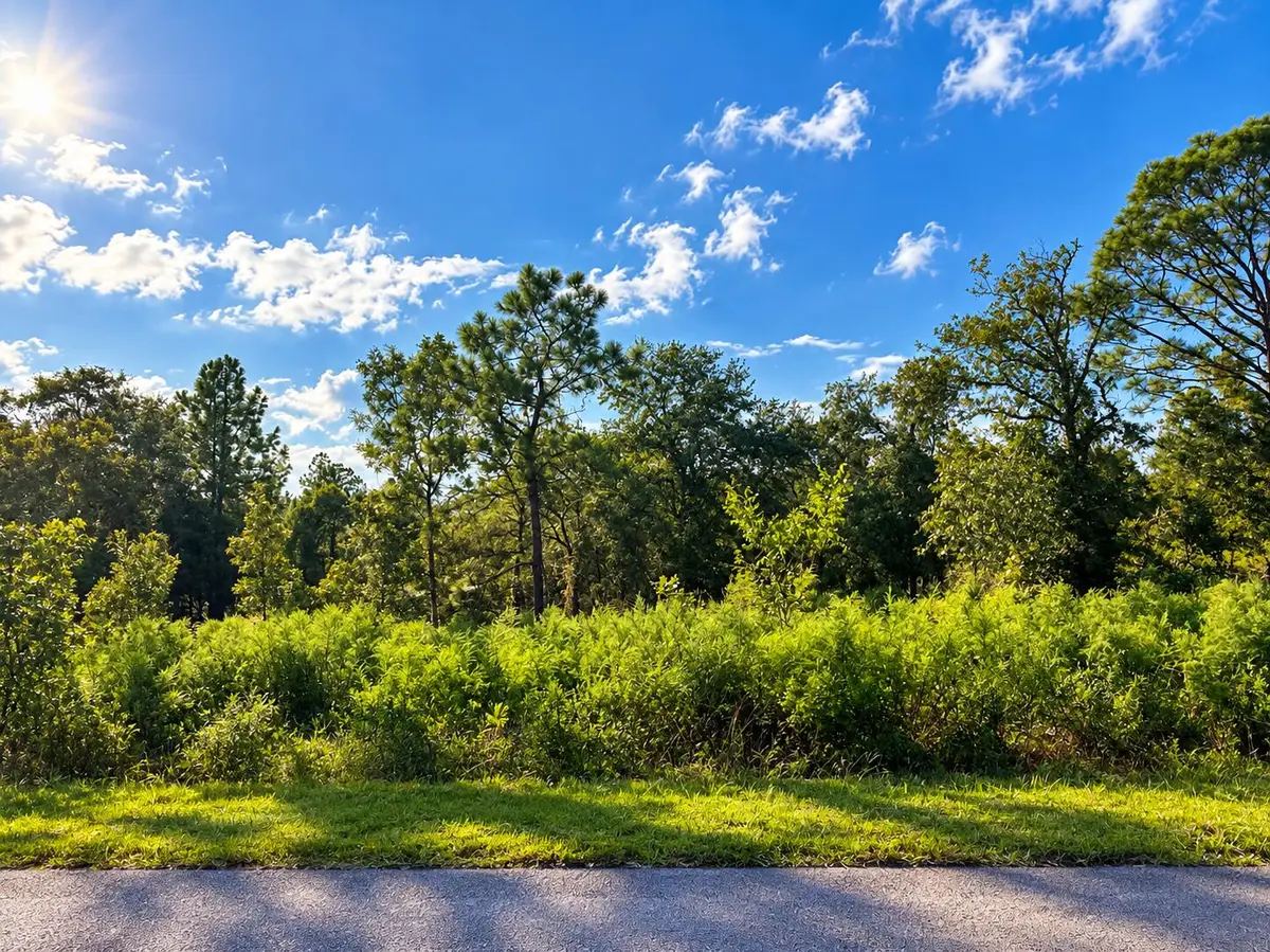 N/a SW Winding Hills Road, Dunnellon, FL 34431 - #1