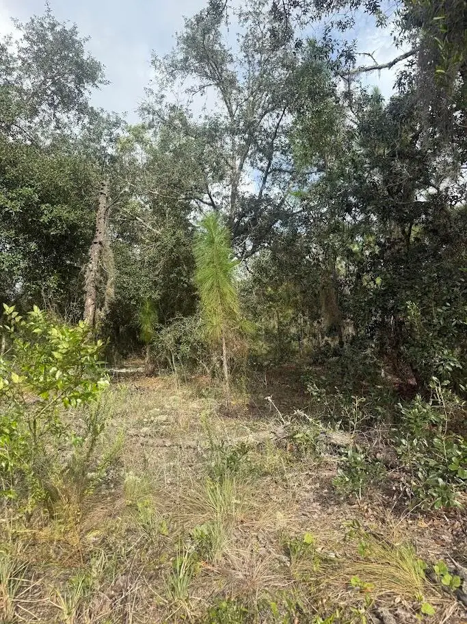 N/a SW Winding Hills Road, Dunnellon, FL 34431 - #3