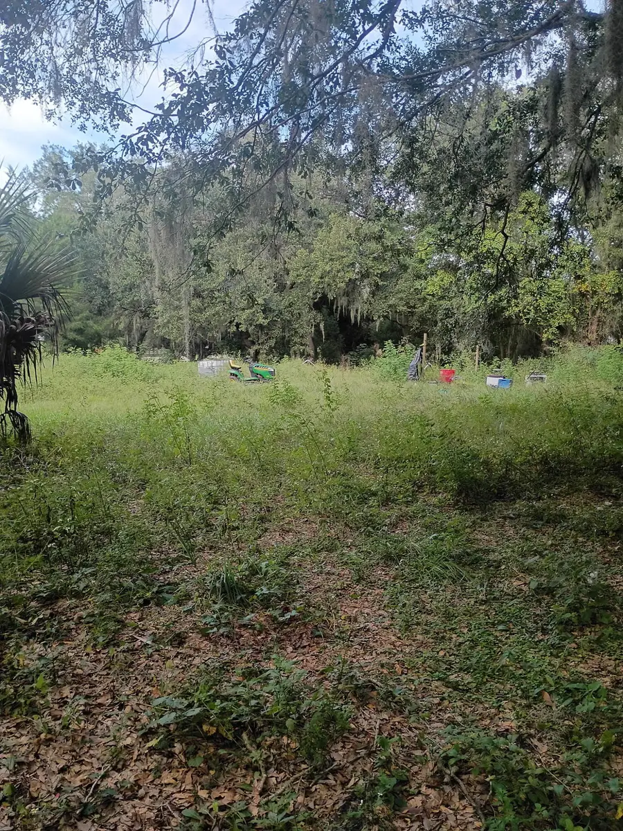 17230 SE Highway 42, Weirsdale, FL 32195 - #3