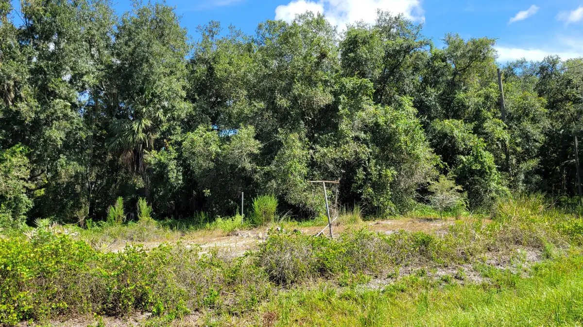 21439 NW 254th Street, Okeechobee, FL 34972 - #1
