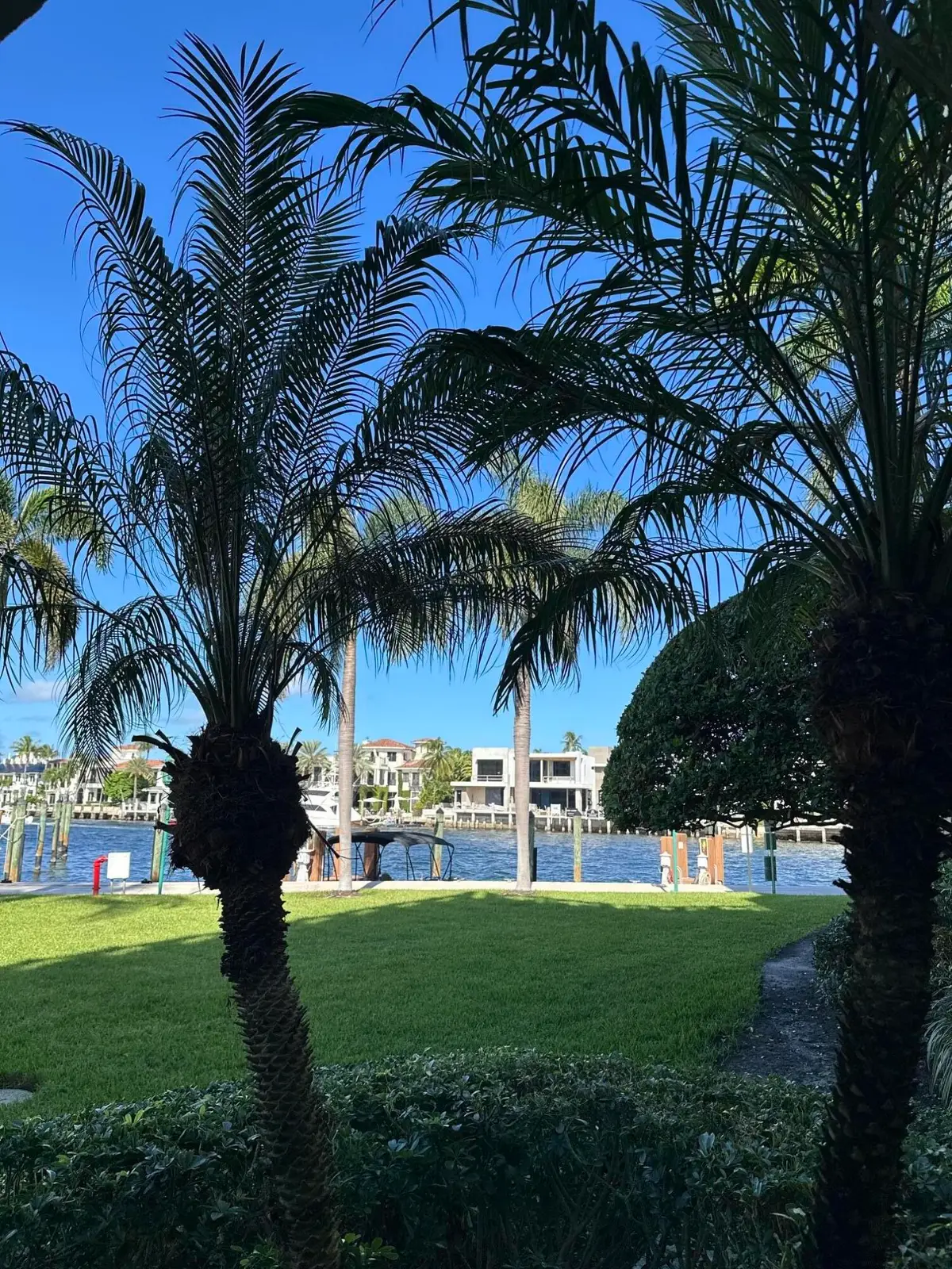 140 SE 5th Avenue #151, Boca Raton, FL 33432 - #1