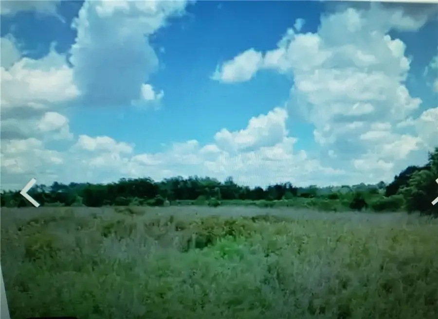 Lot D6 Palm Circle, Hawkinsville, GA 32008 - #3