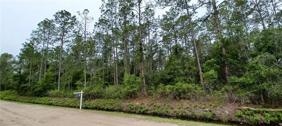 10695 Erickson Avenue, Hastings, FL 32145 - #2