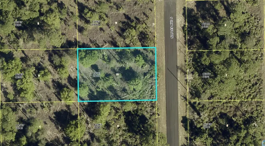 1012 Naples Avenue, Lehigh Acres, FL 33974 - #2