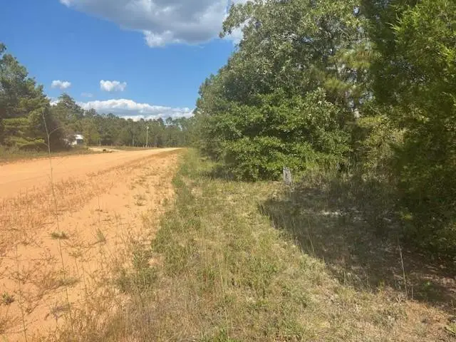 0 Nezperce Drive, Alford, FL 32420 - #1