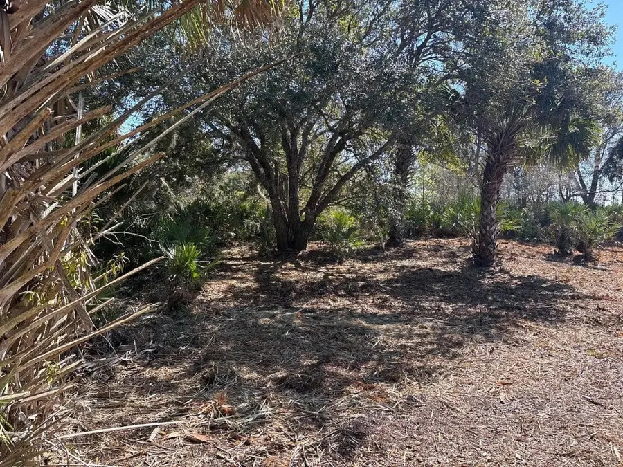 0 NW 304th Street, Okeechobee, FL 34972 - #3