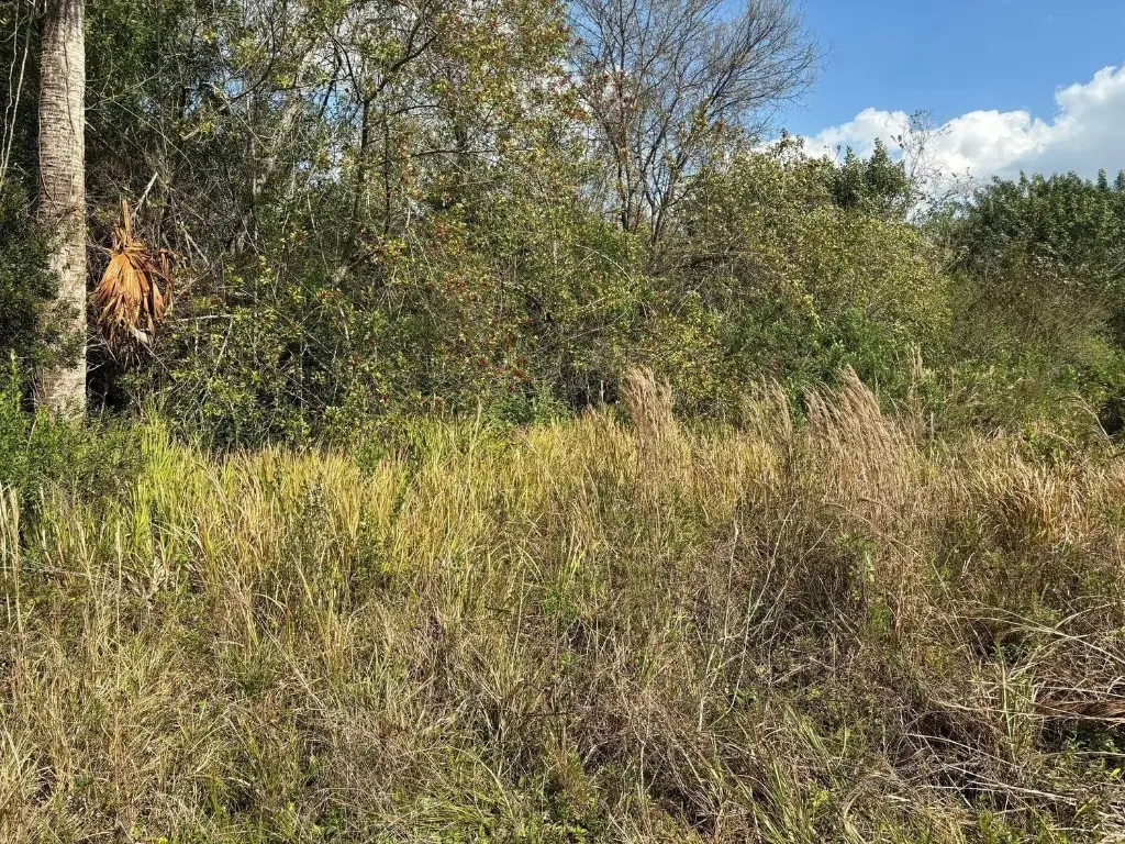 3584 Us Highway 98, Okeechobee, FL 34972 - #1