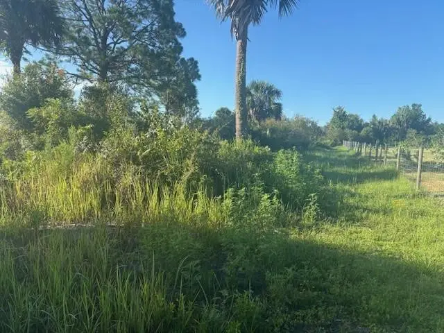 19216 NW 300th Street, Okeechobee, FL 34972 - #3