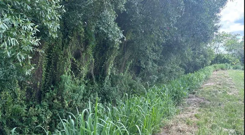 0 NE 13th Avenue, Okeechobee, FL 34972 - #1