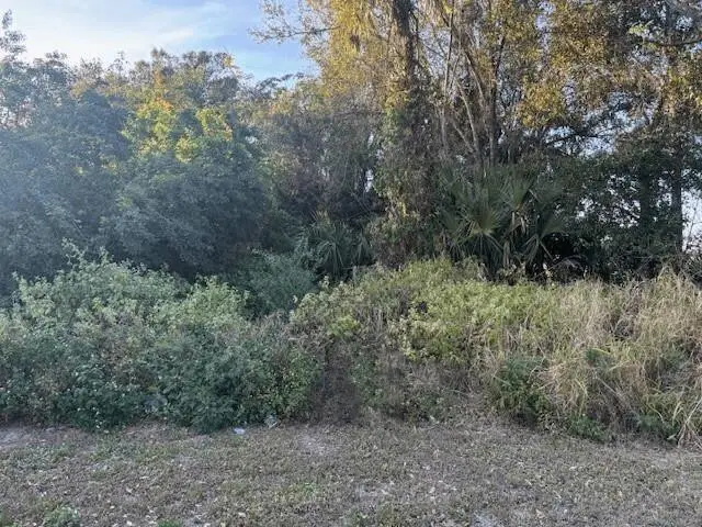 0 NE 13th Avenue, Okeechobee, FL 34972 - #2