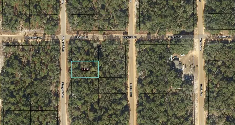 0 Shappell Avenue, Interlachen, FL 32148 - #2