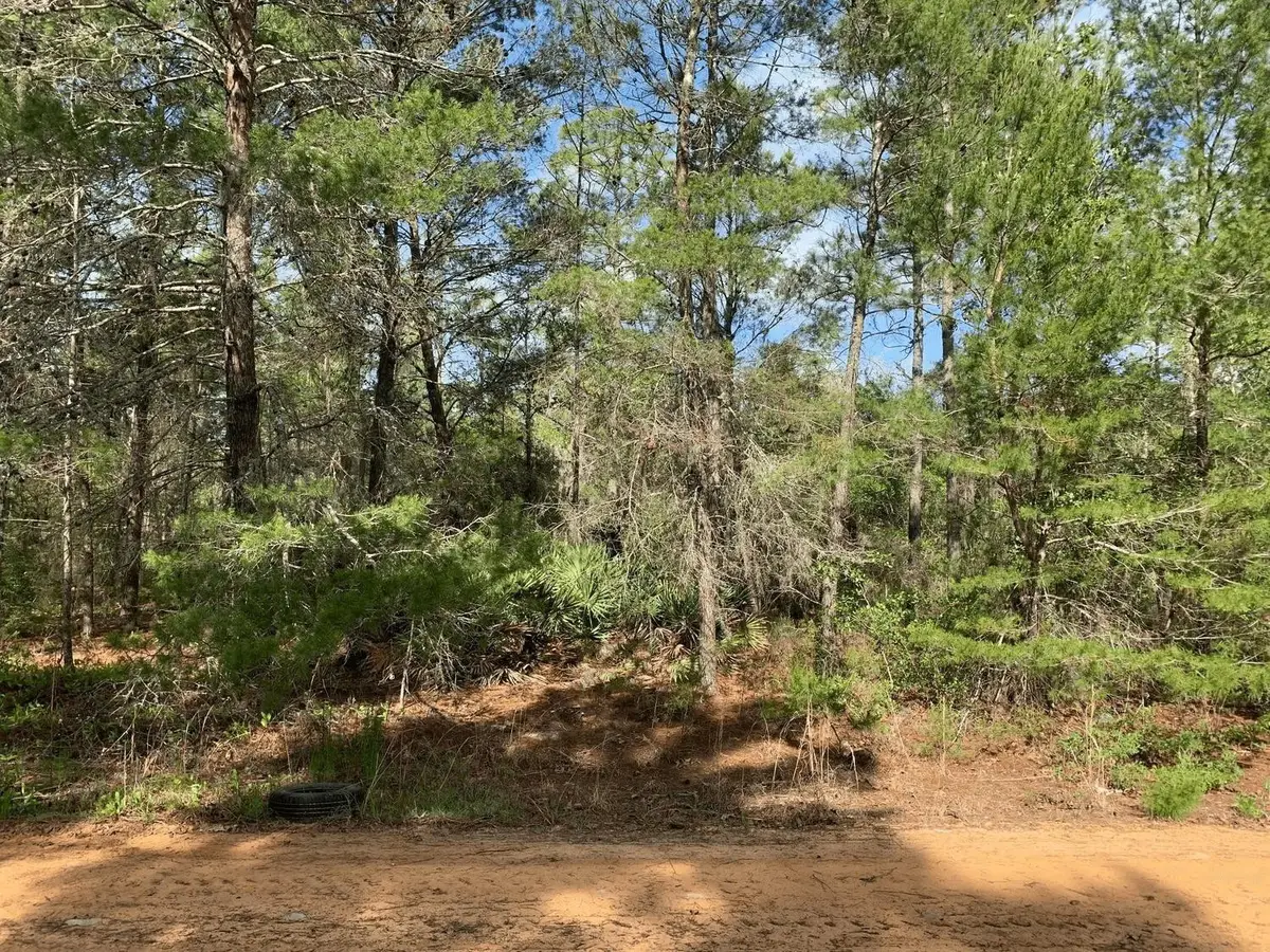 0 Louise Avenue, Interlachen, FL 32148 - #1