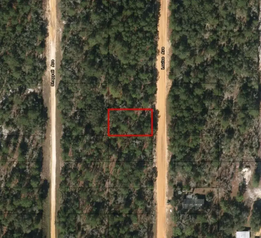 0 Louise Avenue, Interlachen, FL 32148 - #2