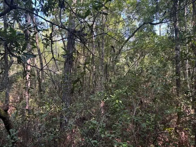 224 SE 8th Avenue, Palatka, FL 32177 - #2