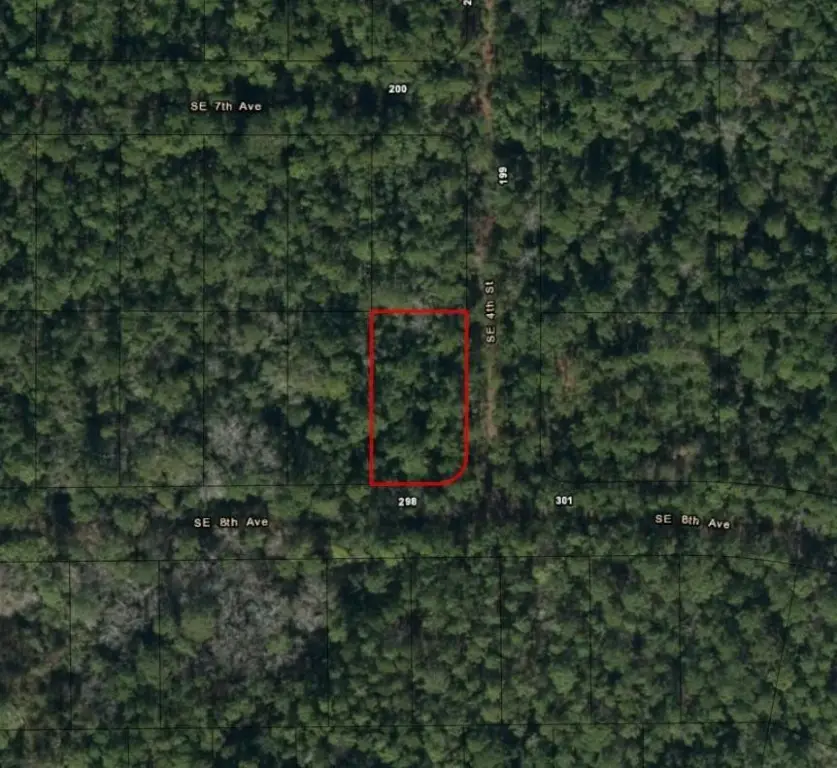 0 SE 8th Avenue, Palatka, FL 32177 - #2