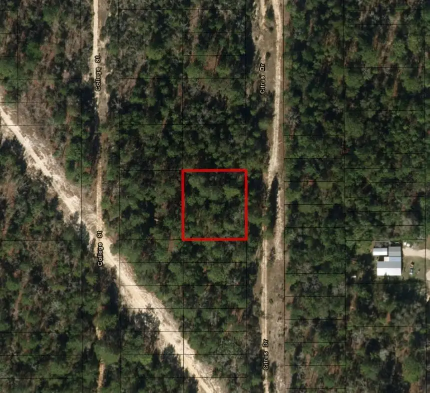 0 Citrus Street, Interlachen, FL 32148 - #2