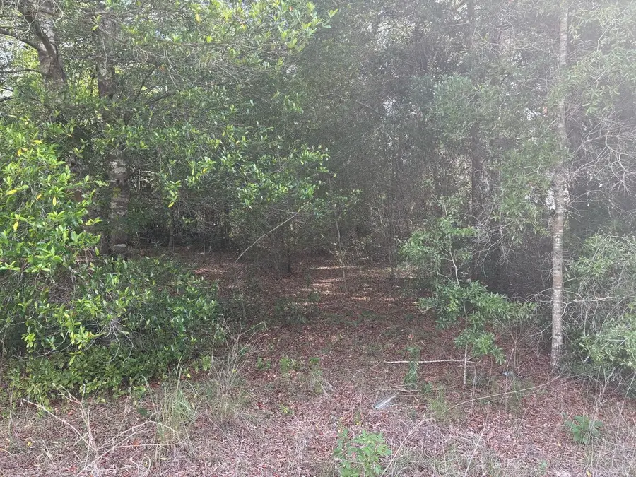 0 SW 30th Place, Ocala, FL 34481 - #2