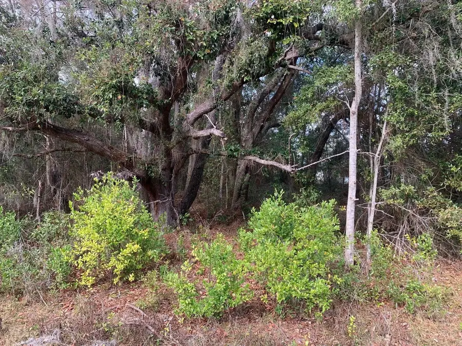 0 SW 30th Place, Ocala, FL 34481 - #3
