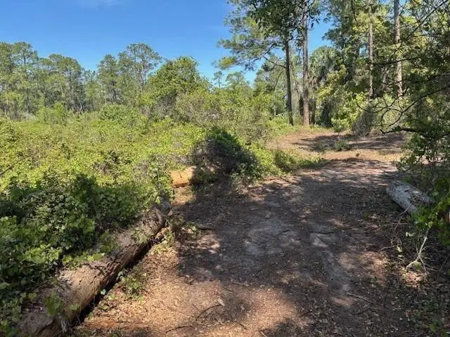 1400 12th Avenue, Deland, FL 32724 - #2