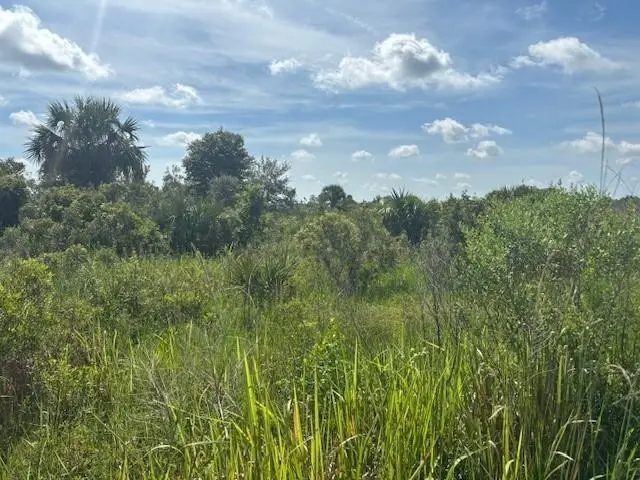 0 NW 312th Street, Okeechobee, FL 34972 - #1