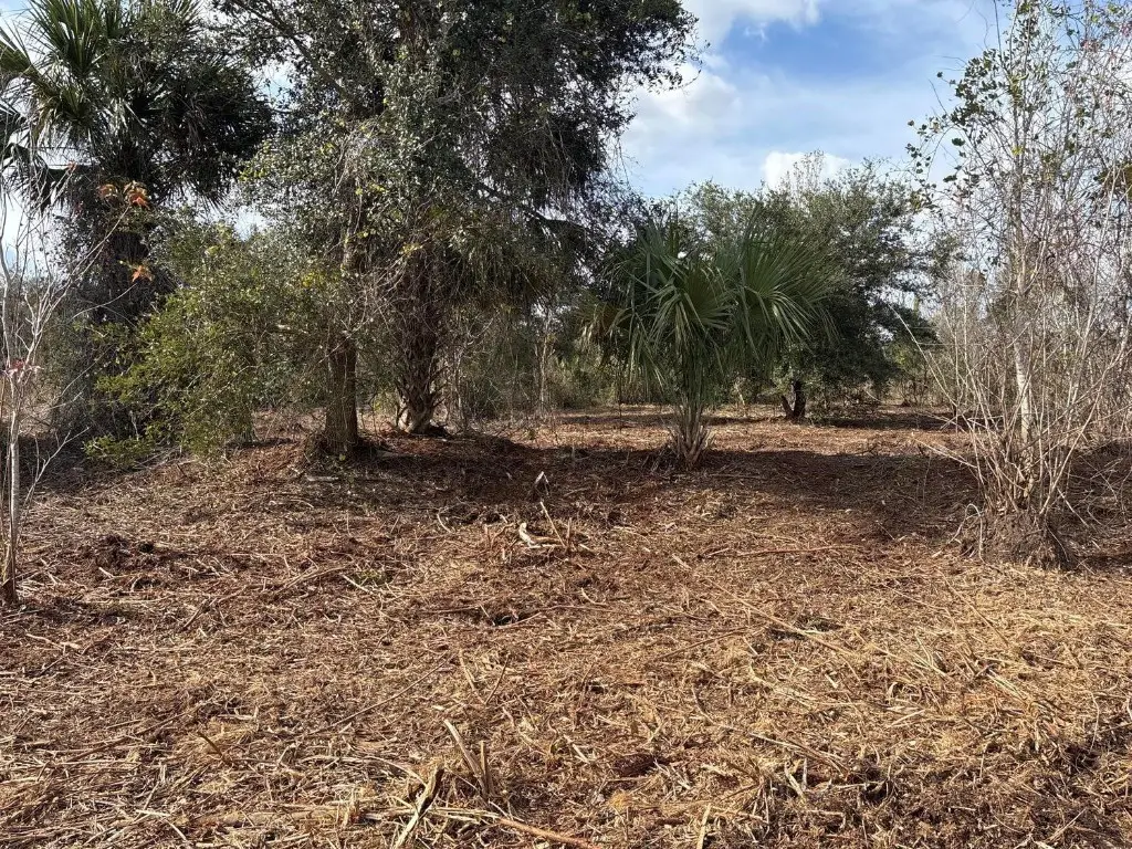 0 NW 296th Street, Okeechobee, FL 34972 - #1