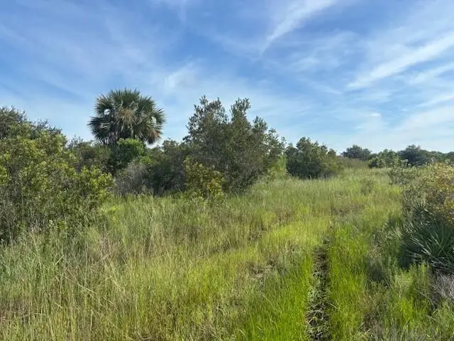 0 NW 310th Street, Okeechobee, FL 34972 - #2