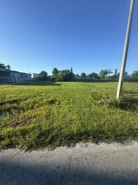 3436 Stella Street, Fort Myers, FL 33916 - #1