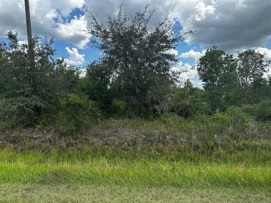 16114 NW 262nd Street, Okeechobee, FL 34972 - #3