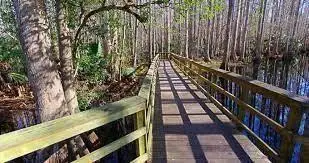 248 Suwanner Drive, Lake Placid, FL 33852 - #3