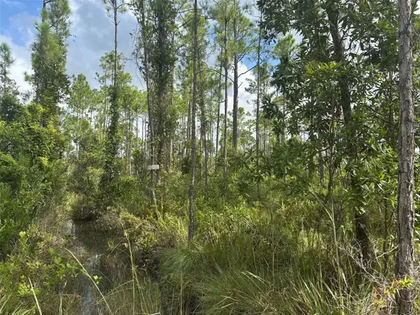 0 Co Road, Lake Wales, FL 33898