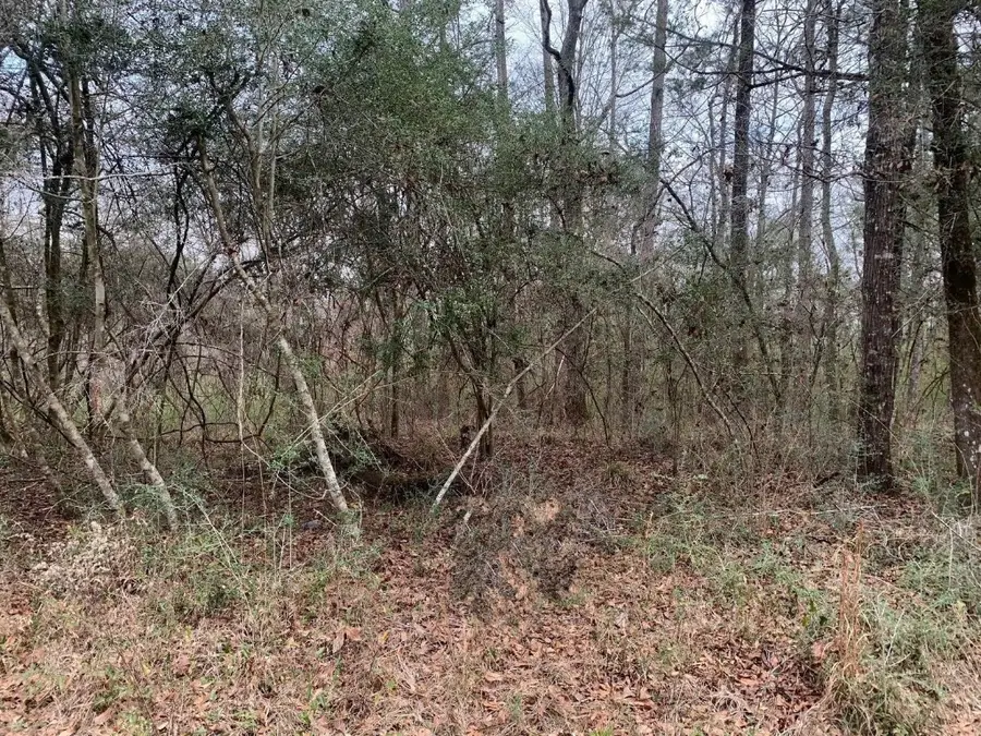 0 Griffin Circle, Westville, FL 32464 - #2