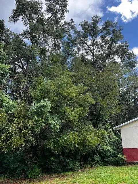 000 Silver Course Loop, Ocala, FL 34472 - #3