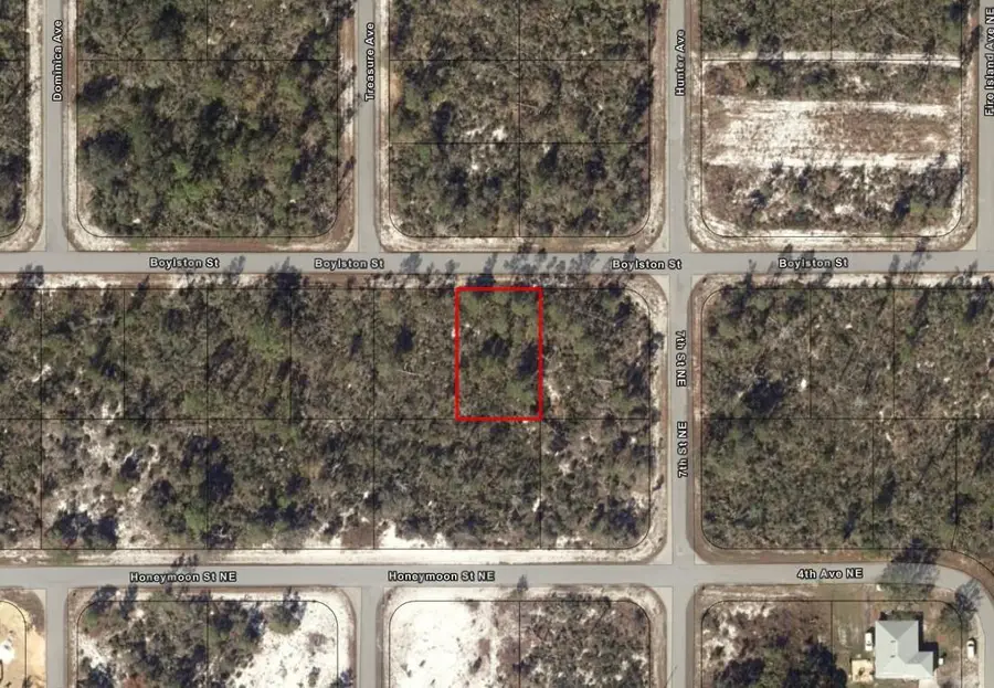 635 Boylston Street, Lake Placid, FL 33852 - #3
