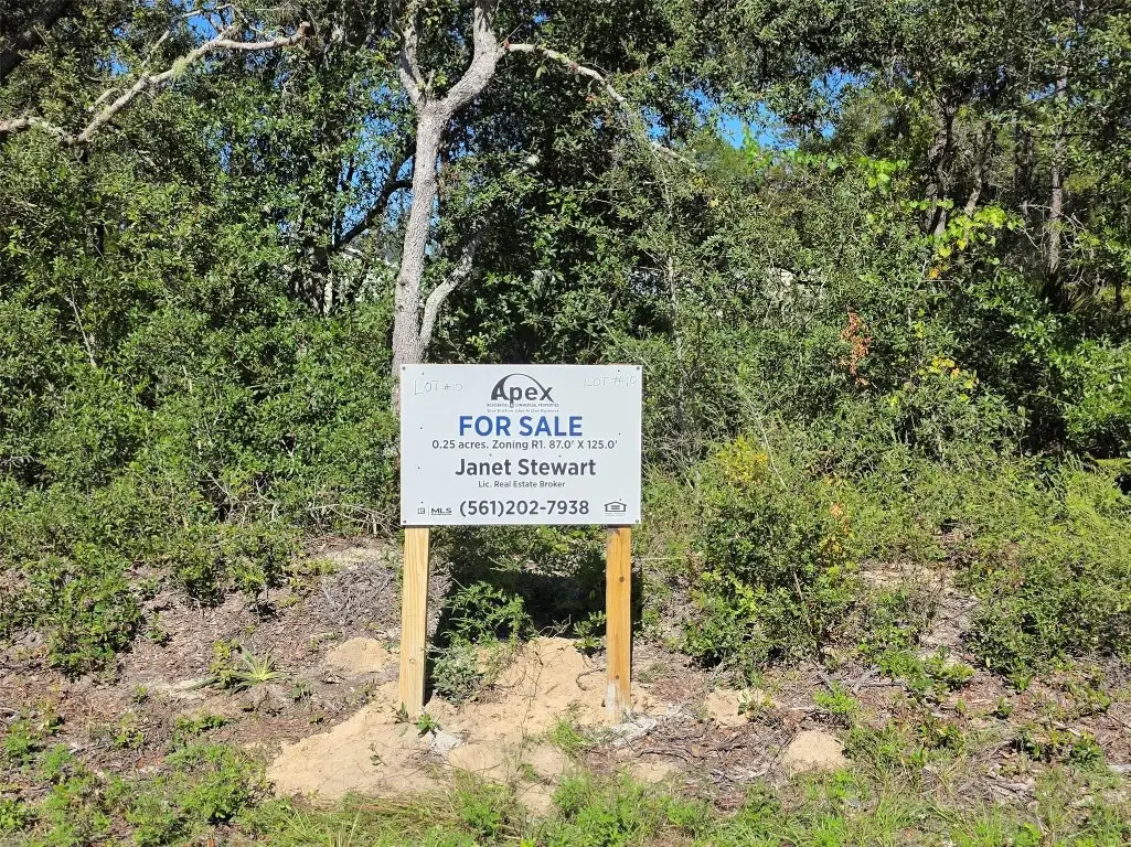 Lot 10 Malauka Circle, Ocklawaha, FL 32179 - #1