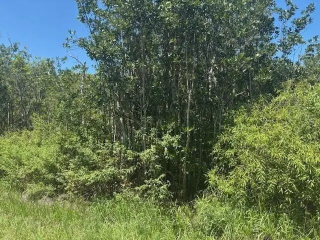 0 Sweet Hill Road, Polk City, FL 33868 - #3