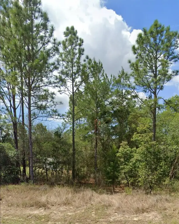 3808 W Indian Rock Place, Citrus Springs, FL 34433 - #2